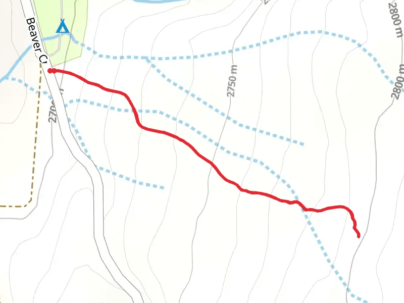 Big Tree Trail