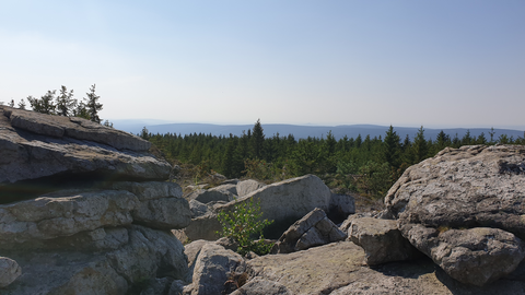 Ochsenkopf and Seweckenberge Loop