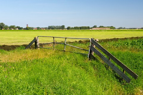 Stedumermaar and Westerwijtwerdermaar via Peertilpad