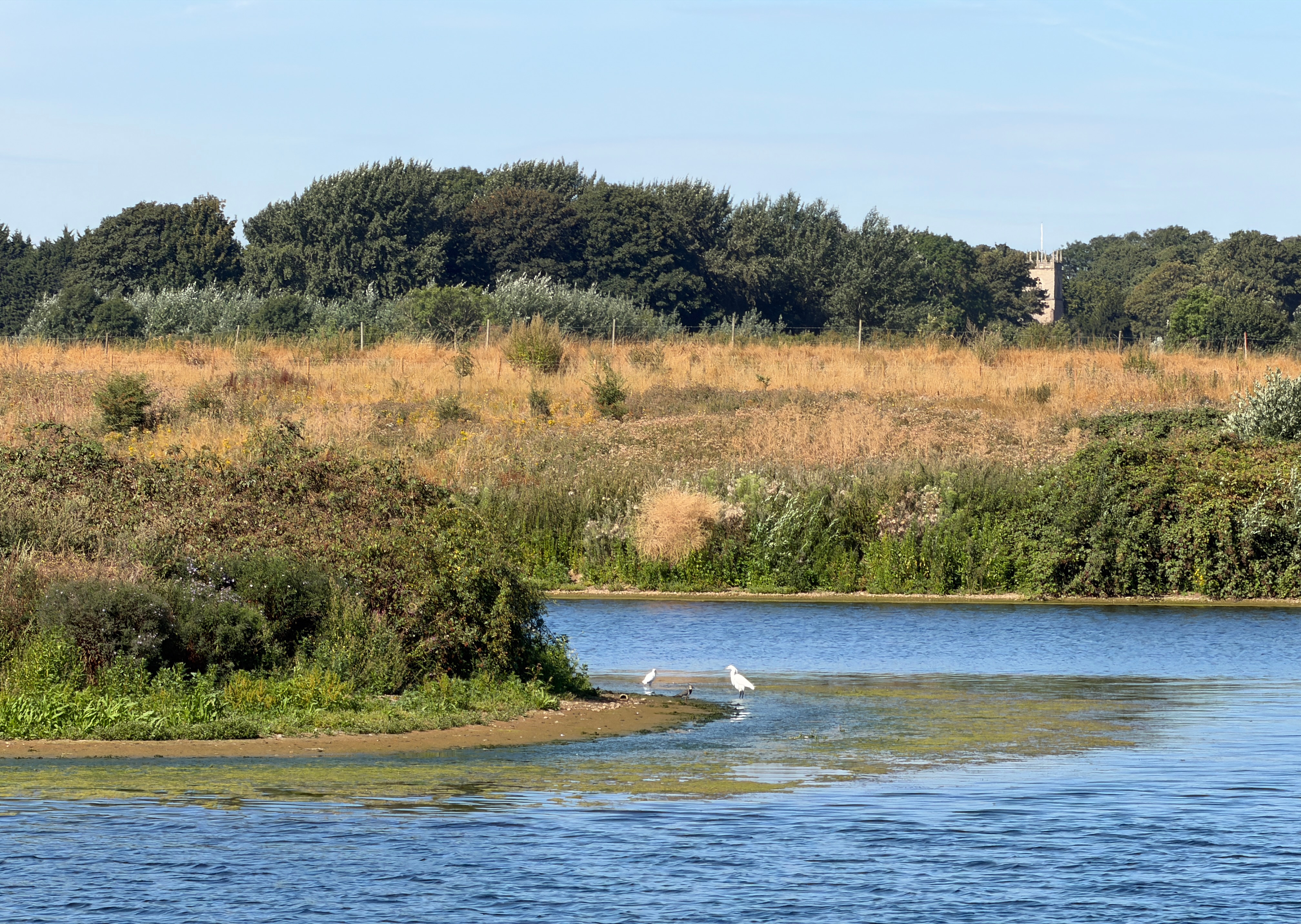 A map preview of the recording Nature reserve.