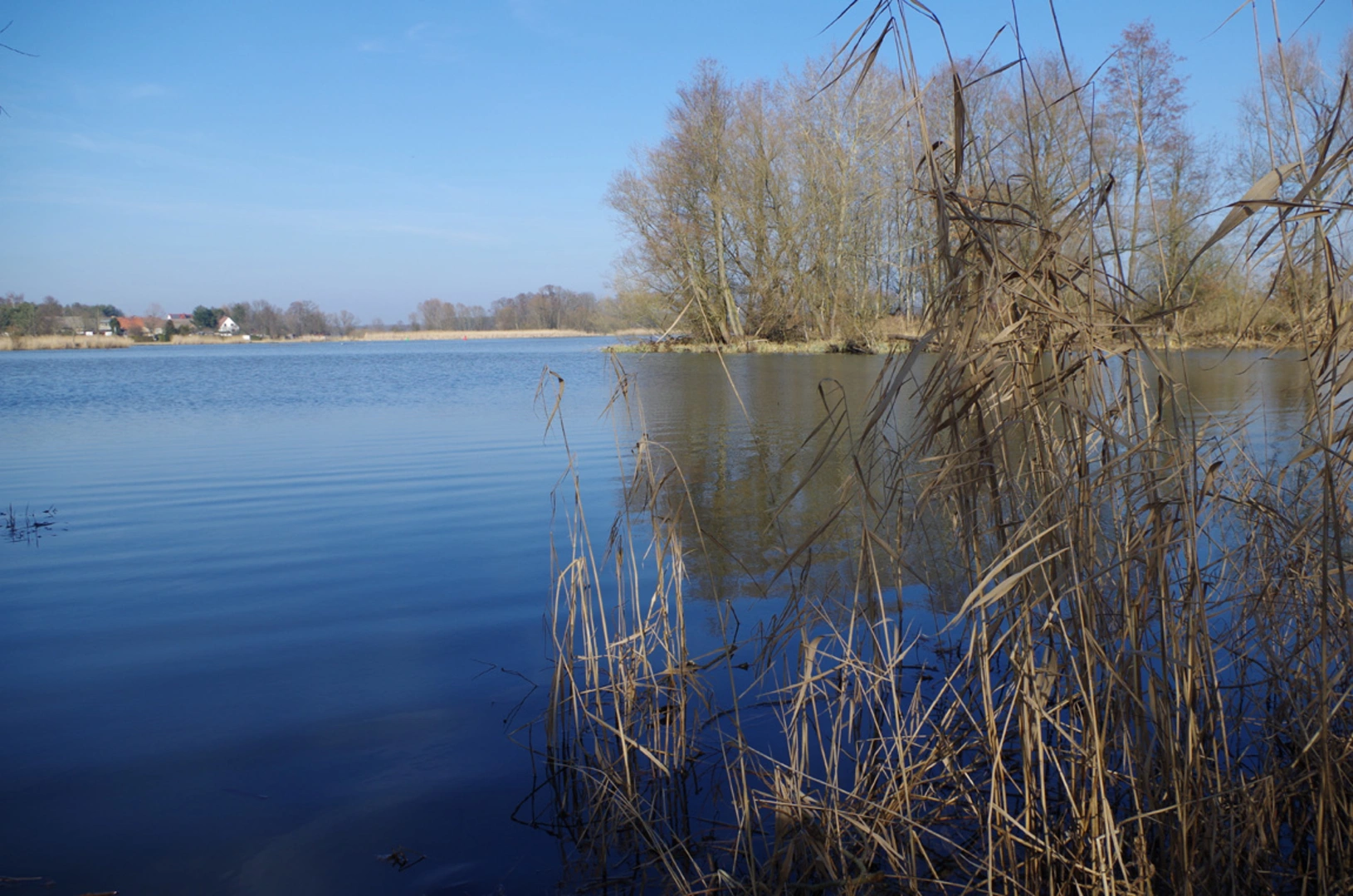 An image depicting the trail Wanderweg Alt Schadow-Werder-Plattkow and its surrounding area.