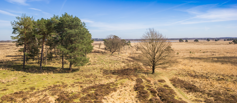 Doldersummer and Vrouwenveld Loop