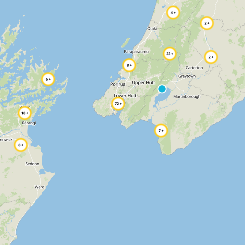 Lower Hutt City Static Map