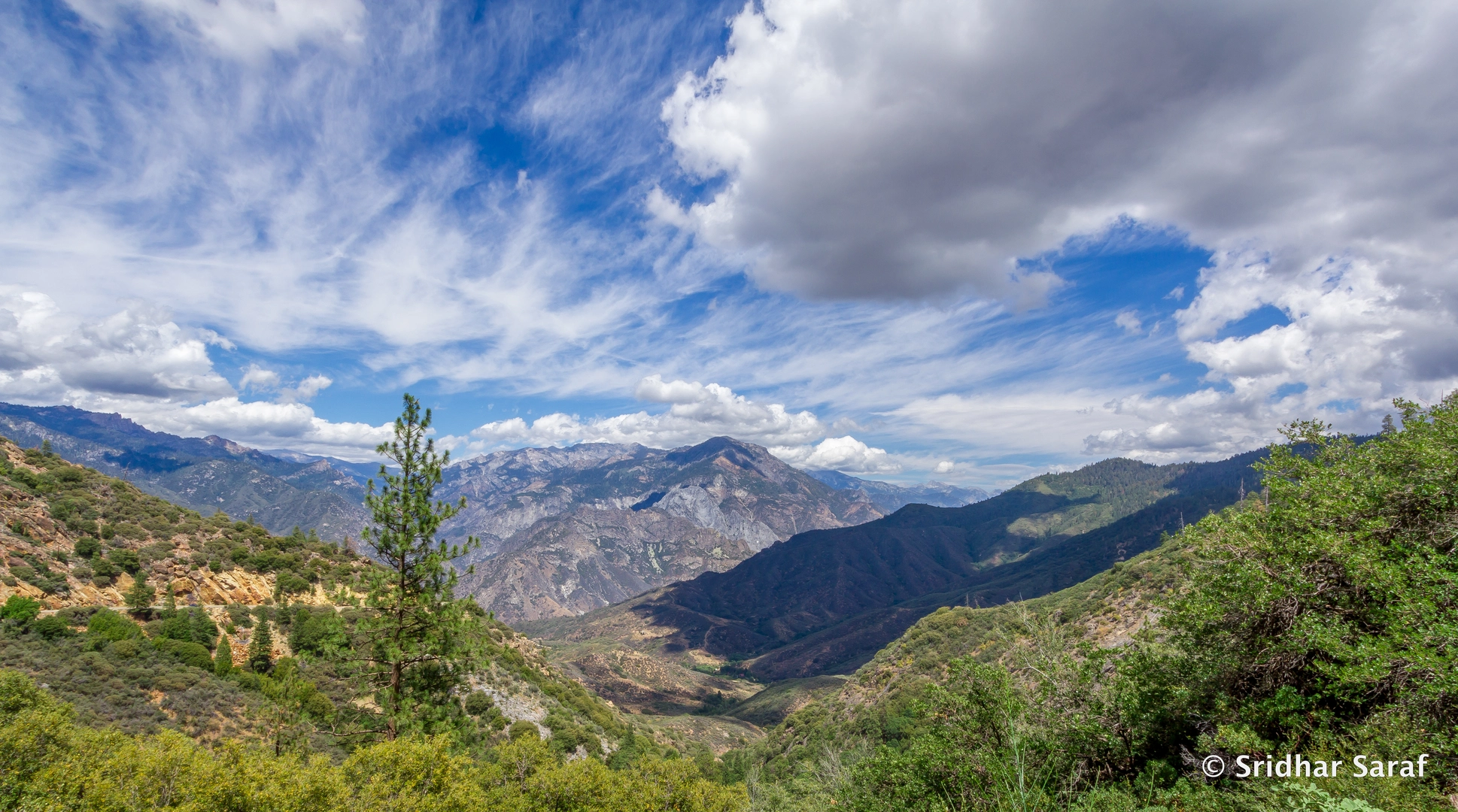 An image depicting the trail Azalia Trail and Manzanita Trail Loop and its surrounding area.