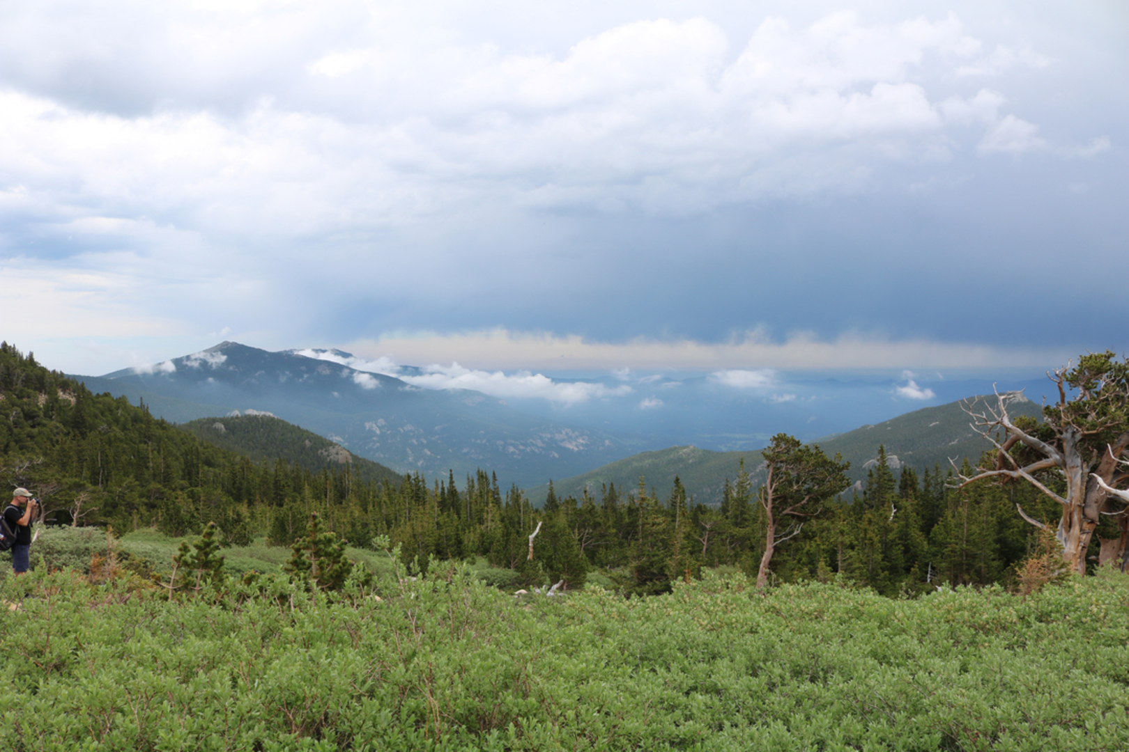 An image depicting the trail Alpine Garden Loop Trail and its surrounding area.