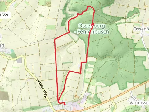 Rundwanderweg Dransfeld 7