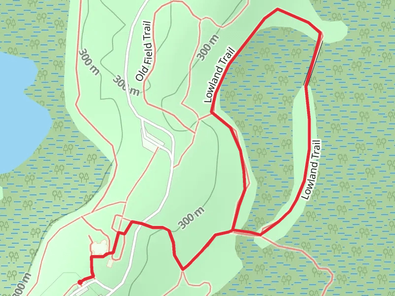 Lowland Trail