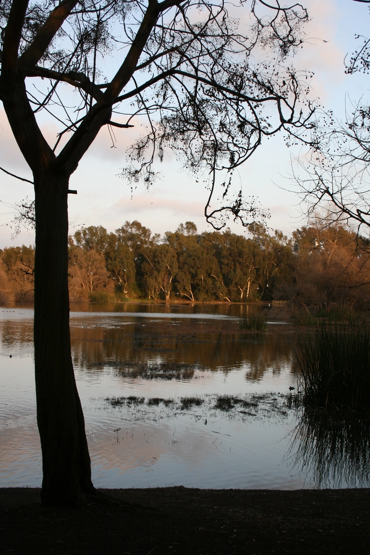 An image depicting the trail Talbert Lake Loop and its surrounding area.