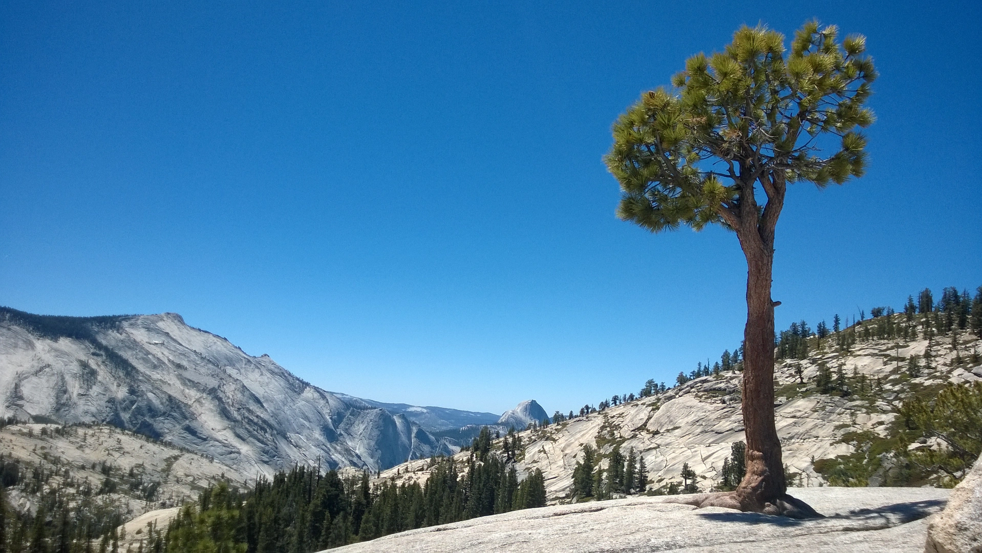 An image depicting the trail Olmstead Point and its surrounding area.