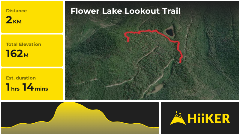 Flower Lake Lookout Trail | Lincoln County | Montana