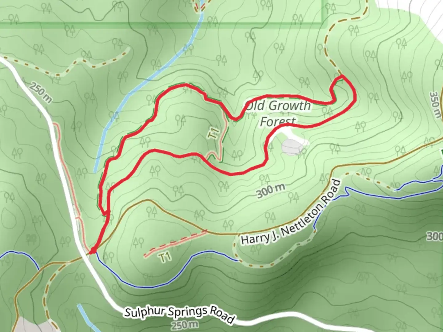 An image depicting the trail Old-New Growth Loop Trail and its surrounding area.