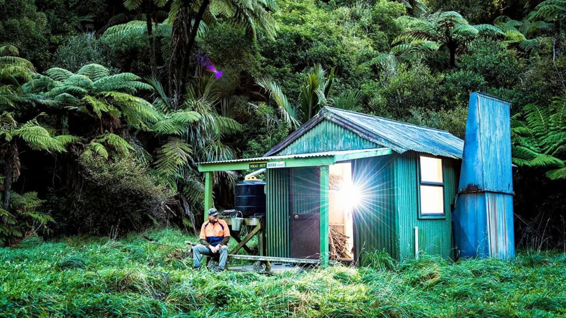 An image depicting the trail Redpath Road End to Nikau Flat Hut and its surrounding area.