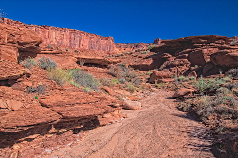 Murphy Wash Trail
