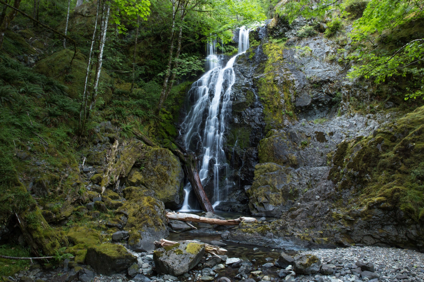 An image depicting the trail Henline Mountain Trail and its surrounding area.
