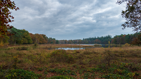 Beerschoten to Hilversum via Groot Heidestein and Beukenwoud
