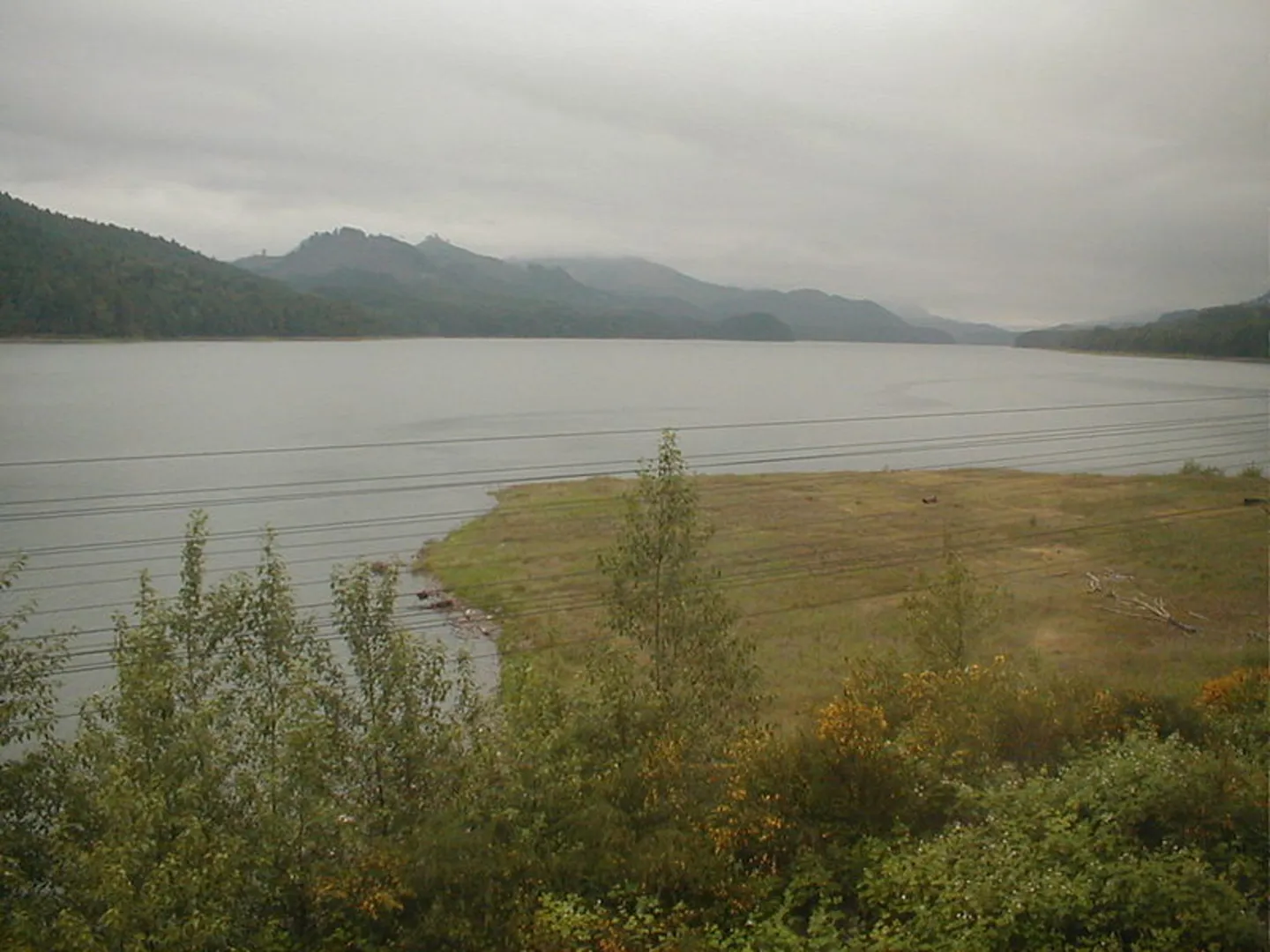 An image depicting the trail South Willamette Trail and its surrounding area.