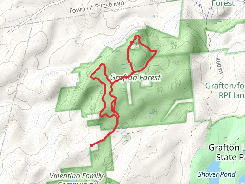 Grafton Forest Loop