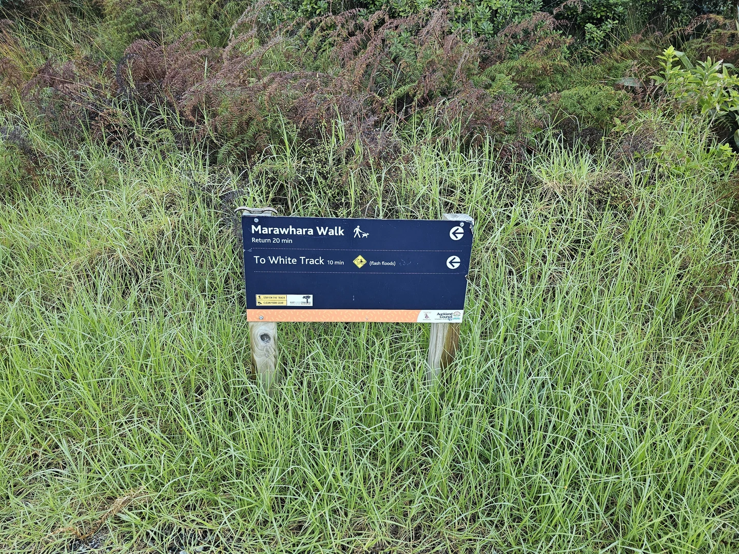 An image depicting the trail Manawhara Track and White Track and its surrounding area.