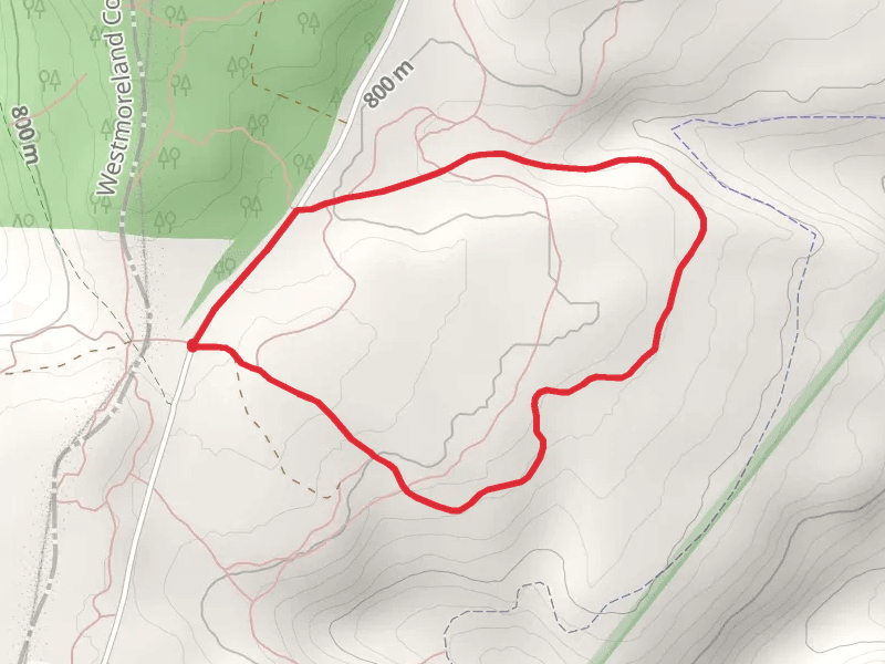 Laurel Highlands Hiking Loop Trail