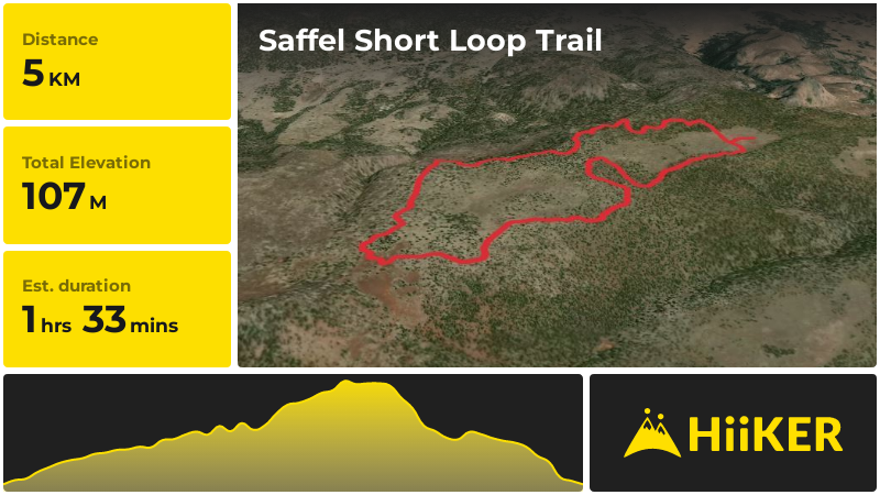 Saffel Short Loop Trail | Apache County | Arizona
