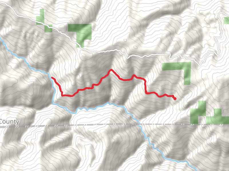 Poison Glade Trail