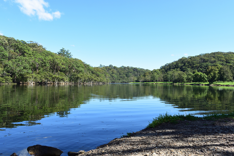 Davidson Park to Stepping Stone Crossing Walk