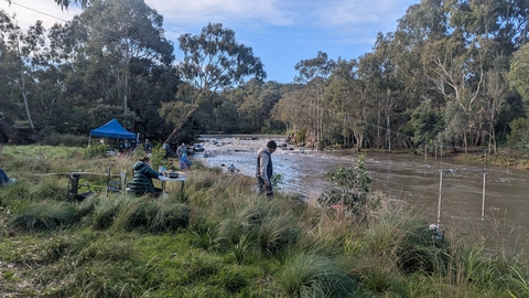 Wurundjeri Spur Abbotsford Loop