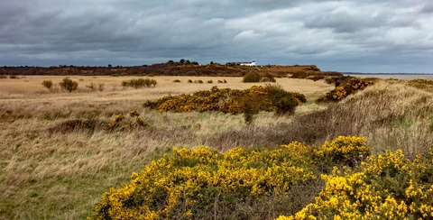 Dingle Marshes Loop