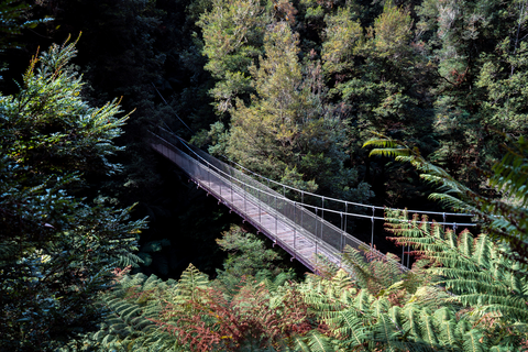 Tarra Bulga Scenic Circuit