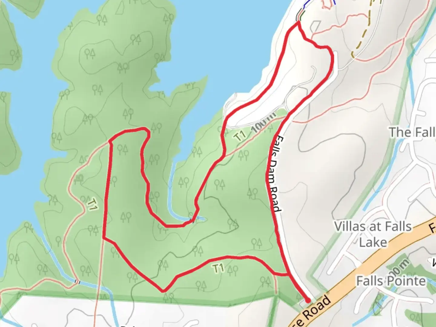 An image depicting the trail Long Leaf and Falls Lake Loop Trail and its surrounding area.