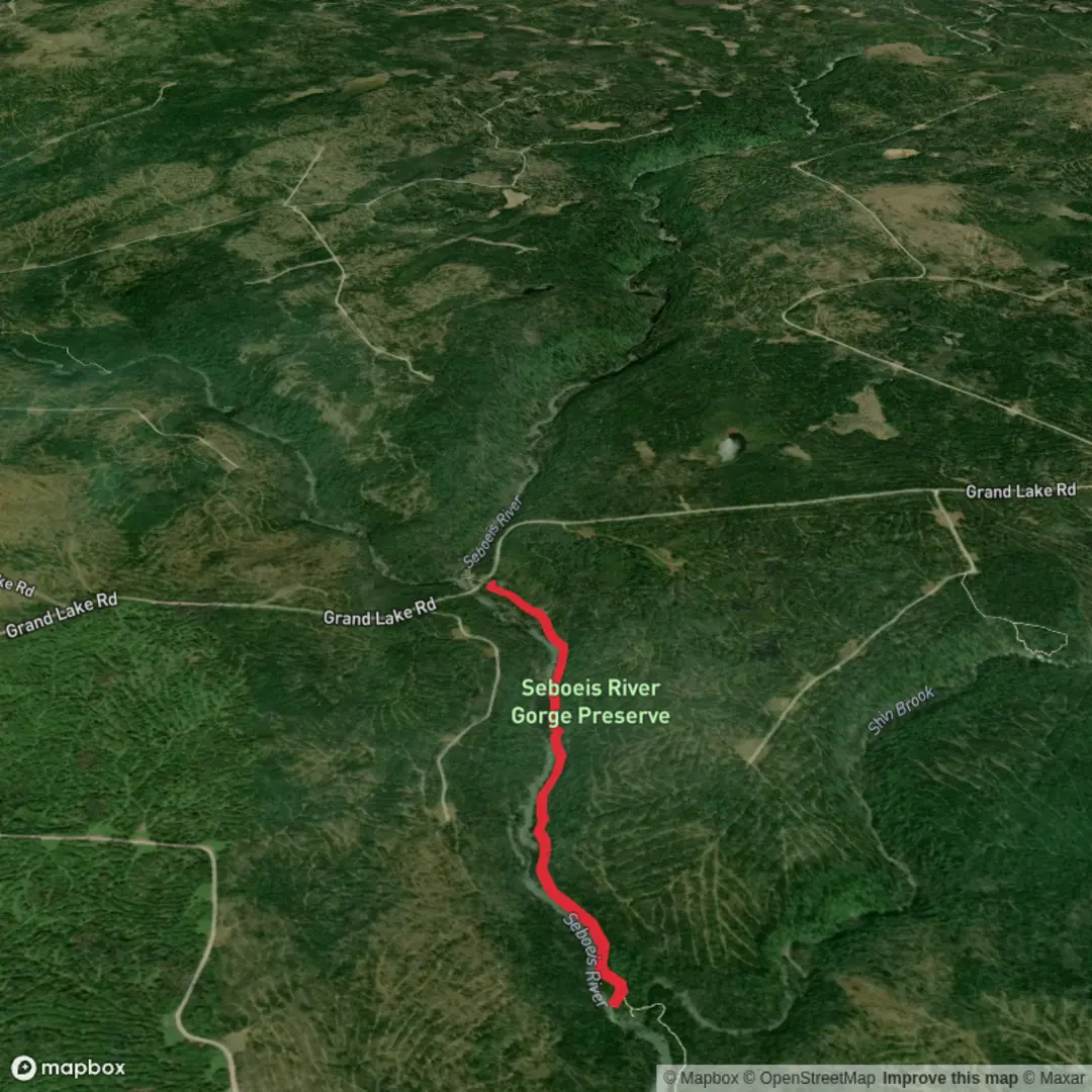An image depicting the trail Grand Pitch Waterfall via Sebois Riverside Trail and its surrounding area.