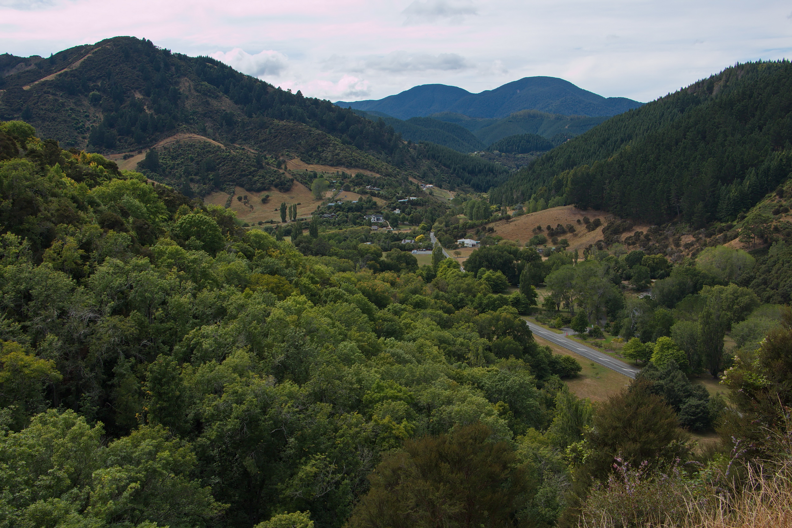 An image depicting the trail Dun Mountain Trail and its surrounding area.
