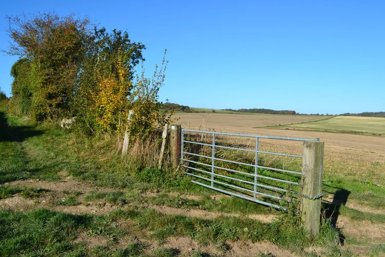 River Crane and Knap Barrow via Jubilee Trail and Hardy Way