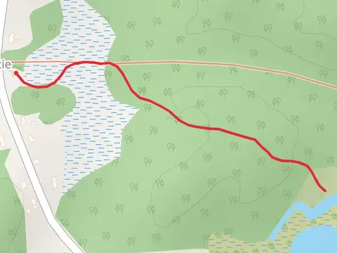 Gracie Road Walk