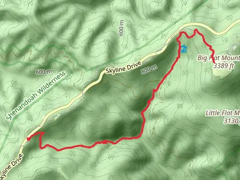 Big Flat Mountain via Jones Run Trail