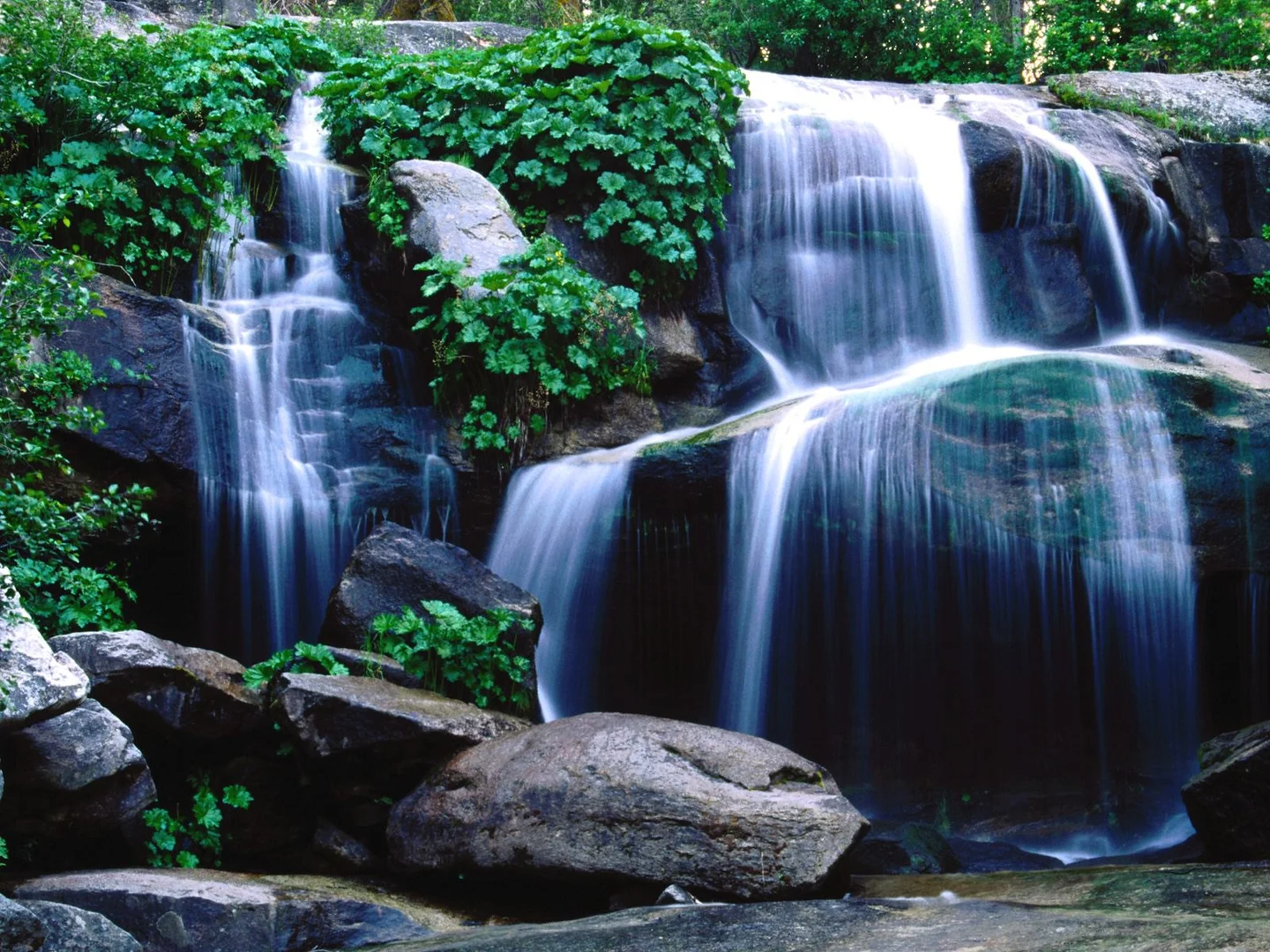 An image depicting the trail Whiskey Falls Trail and its surrounding area.