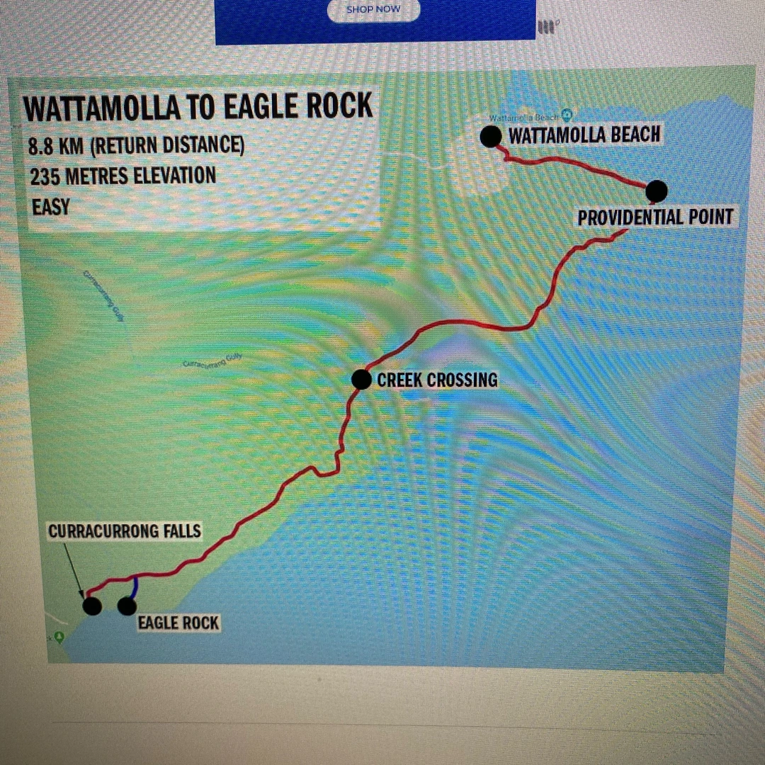 An image depicting the trail Royal National Park - Eagle Rock and Garie Beach and its surrounding area.