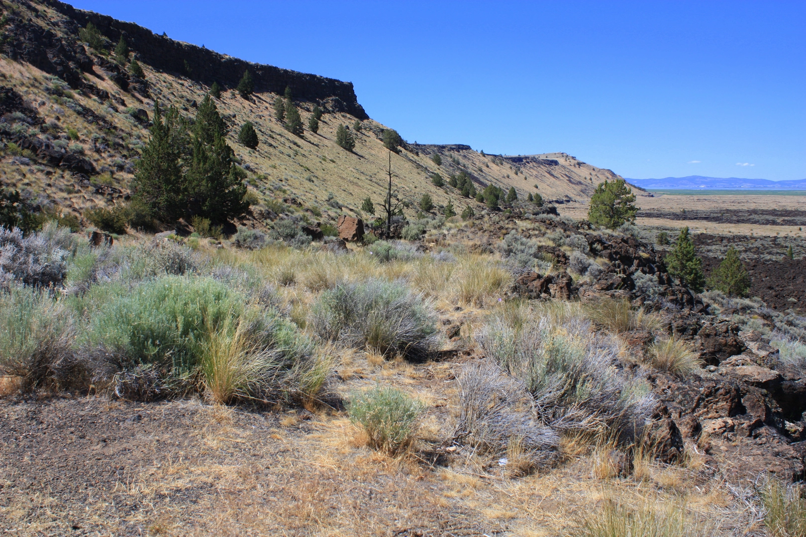 An image depicting the trail Gillem Bluff Trail and its surrounding area.