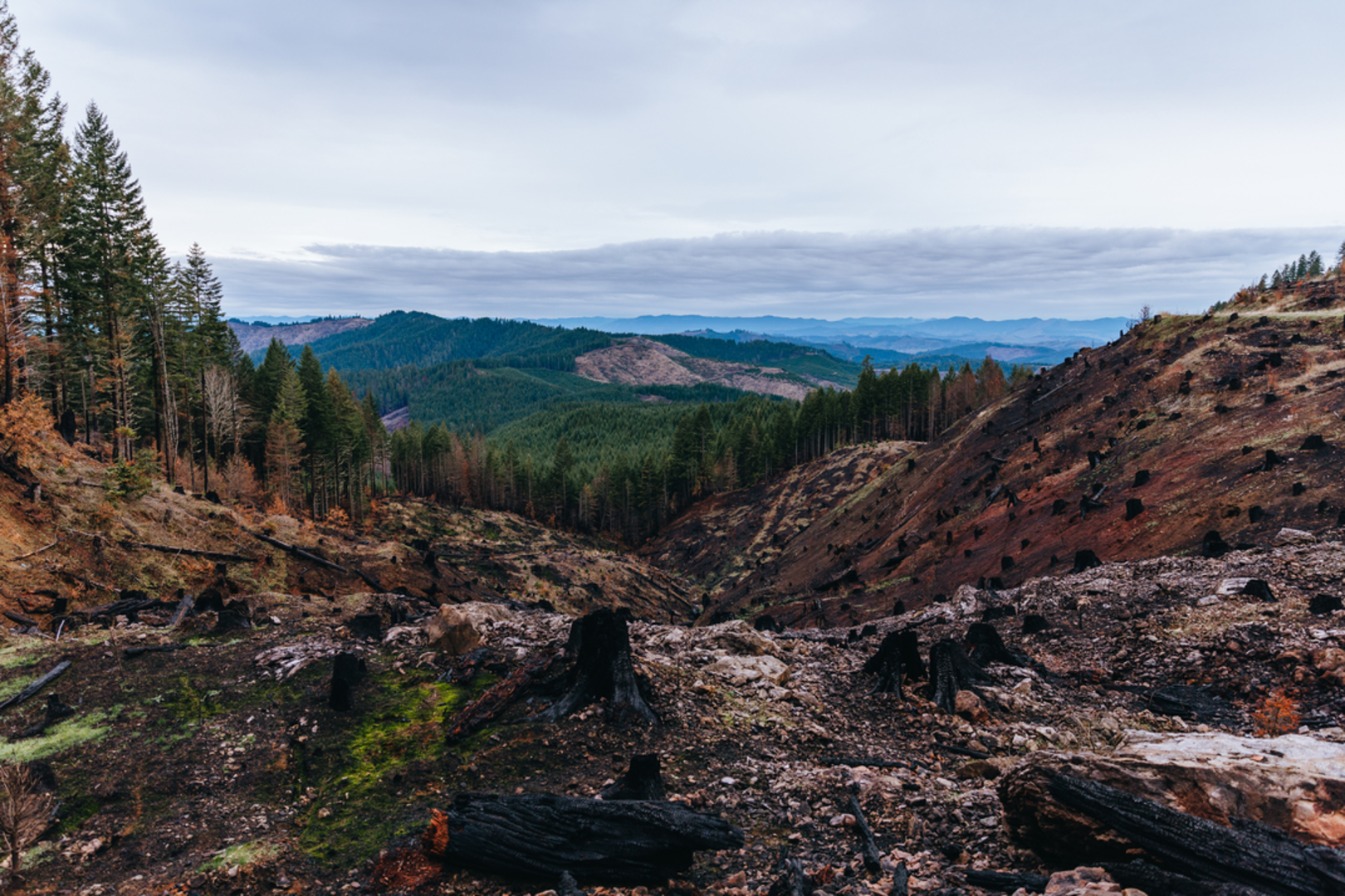 An image depicting the trail Lucky Camp Trail via Red Blanket Trail and its surrounding area.