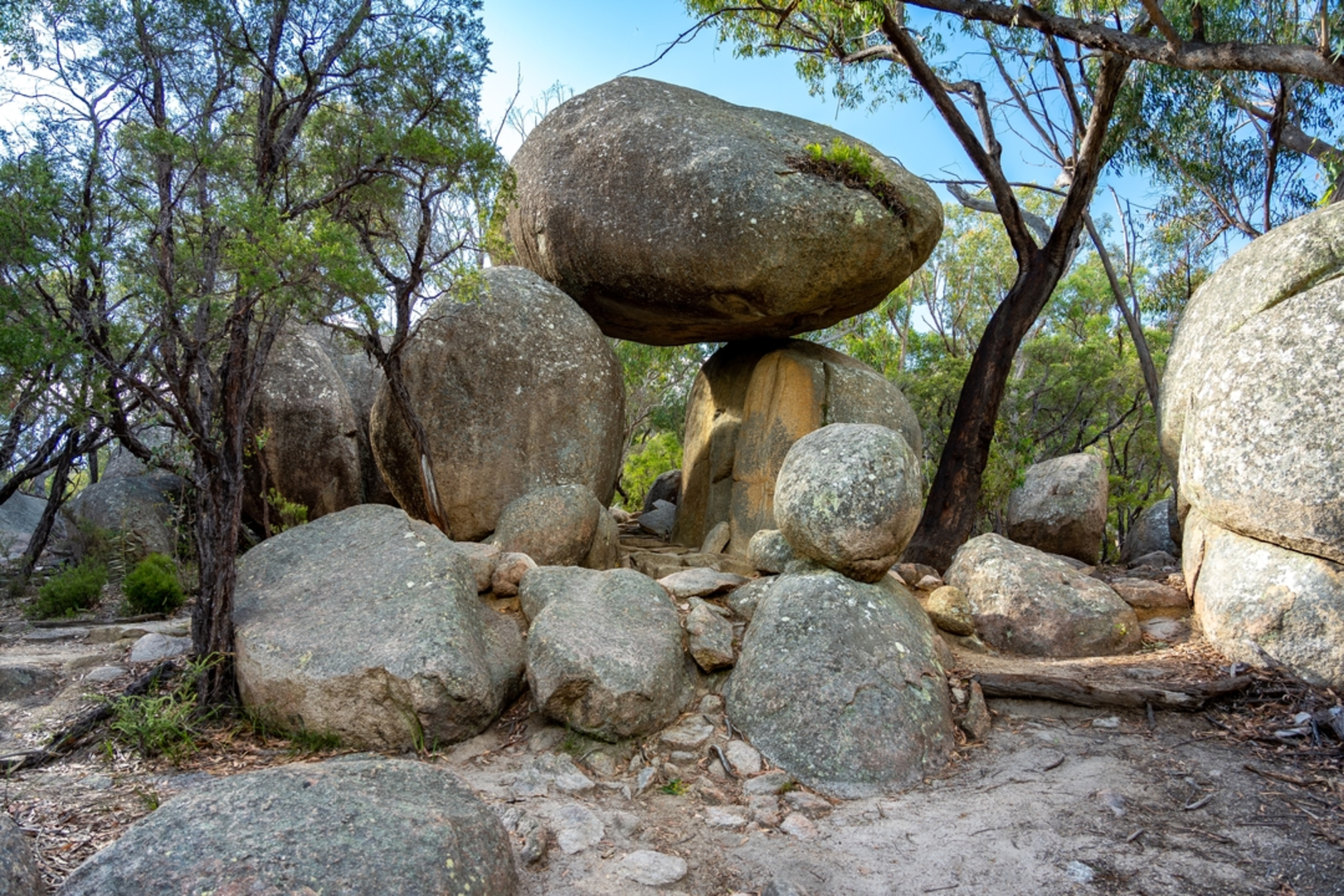 An image depicting the trail Granite Arch Track and its surrounding area.