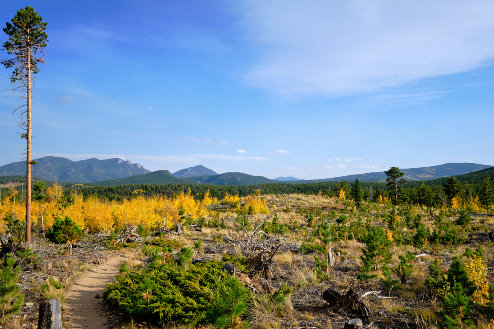 An image depicting the trail Lake Evelyn Trail and its surrounding area.