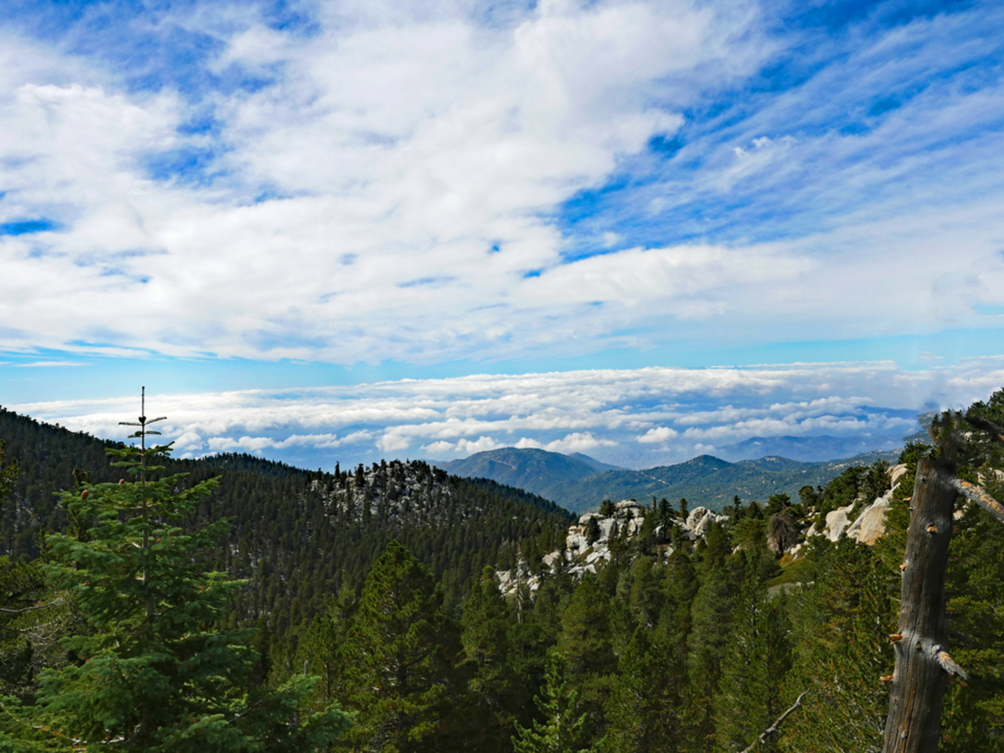An image depicting the trail Deer Springs Trail and its surrounding area.