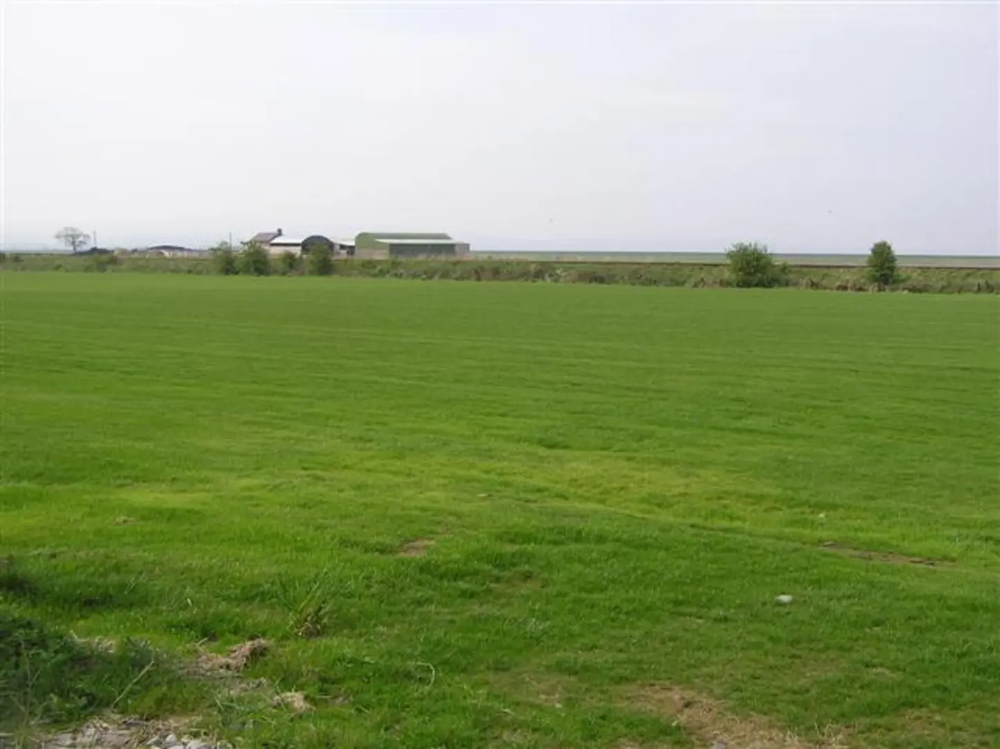 An image depicting the trail Ballymacran Bank and its surrounding area.