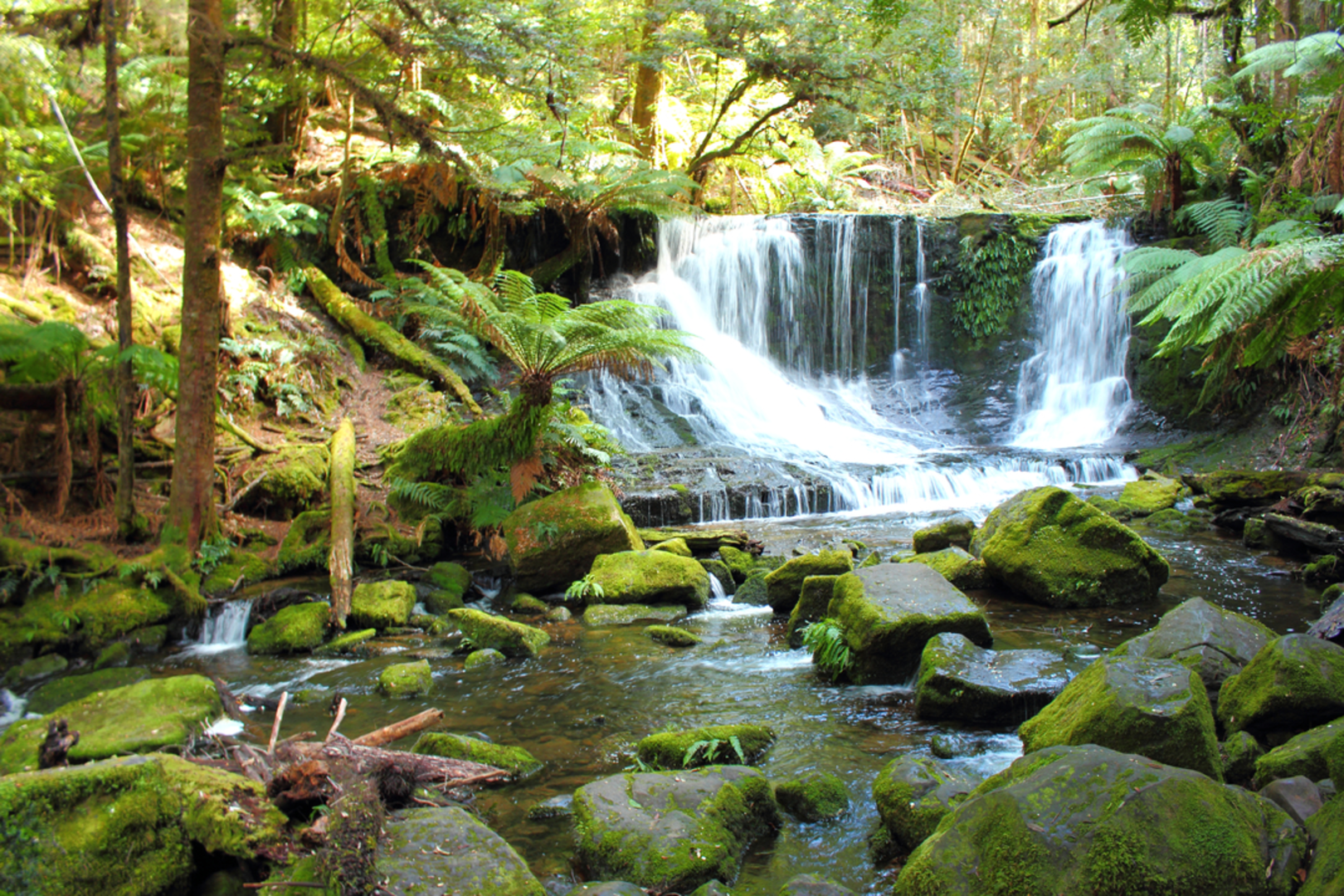 An image depicting the trail Montezuma Falls Walk and its surrounding area.