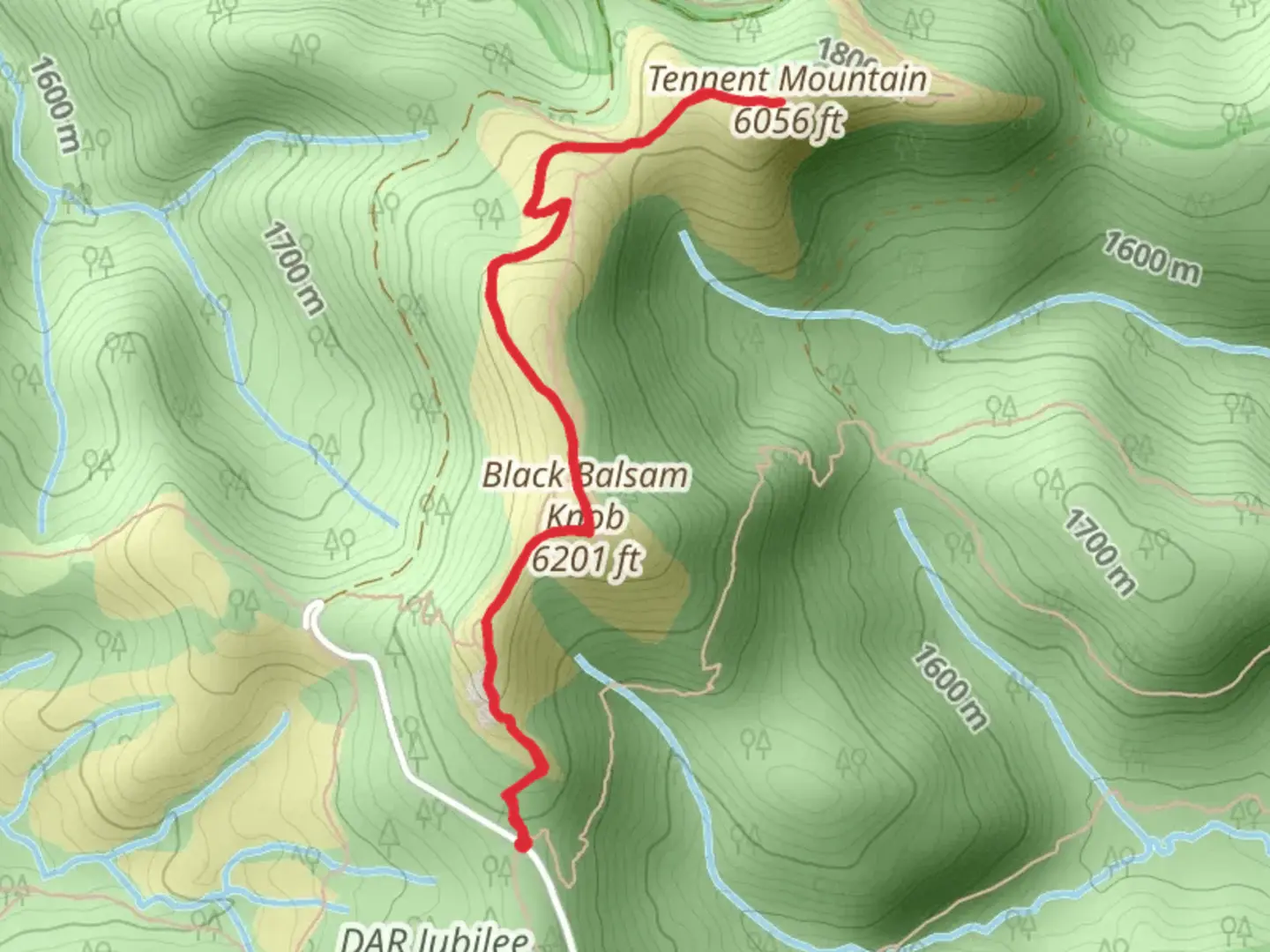 An image depicting the trail Tennent Mountain via Art Loeb Trail and its surrounding area.