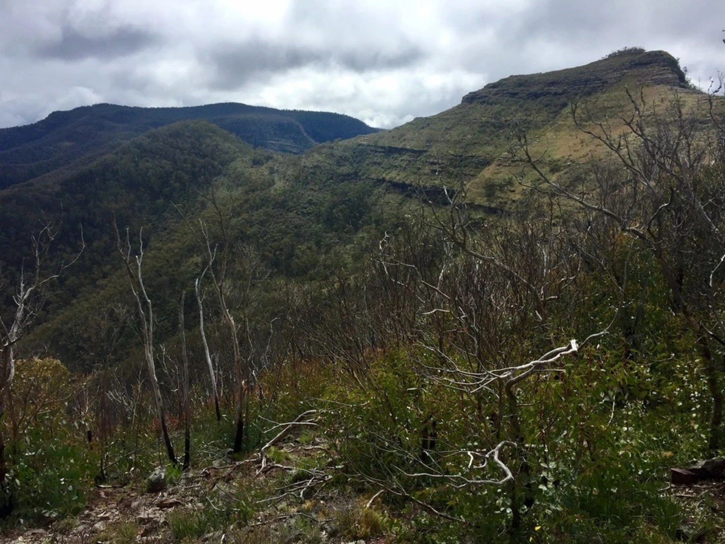 An image depicting the trail Mount Ligar and Tamboritha Trail and its surrounding area.