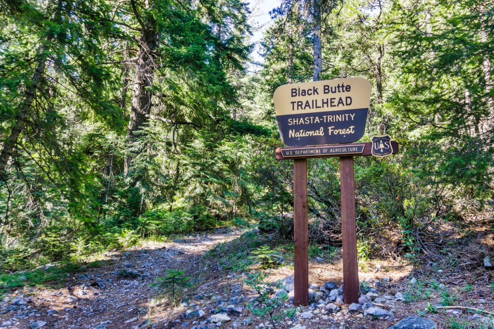 An image depicting the trail Black Butte Trail and its surrounding area.