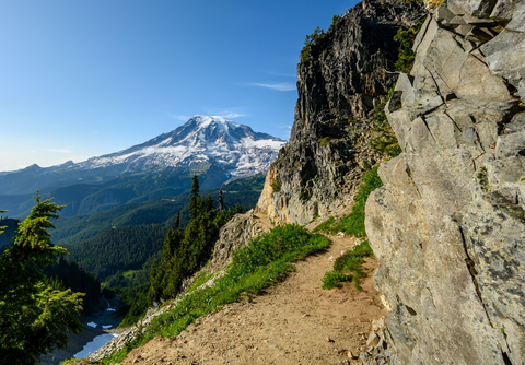 Louisiana Saddle Trail