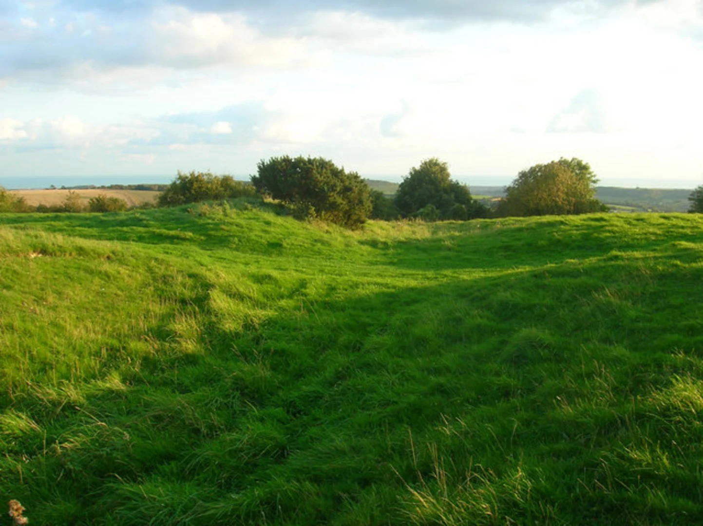 An image depicting the trail Houghton Forest and Left Hanger and its surrounding area.