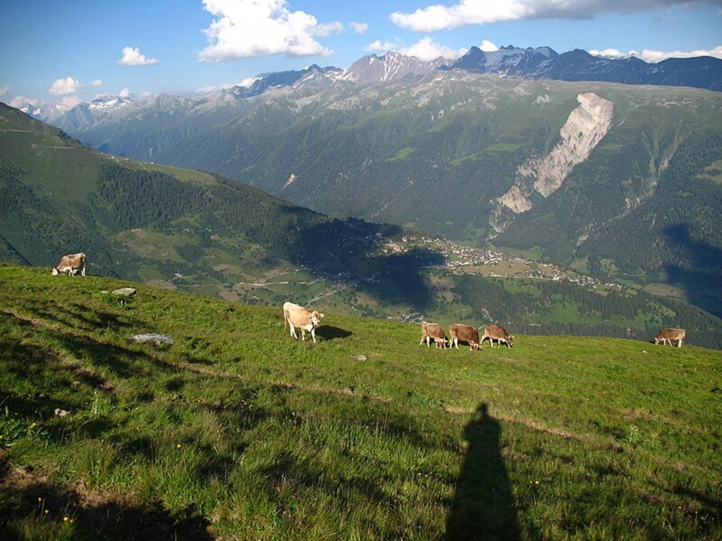 An image depicting the trail 7-Seenwanderweg Bellwald and its surrounding area.